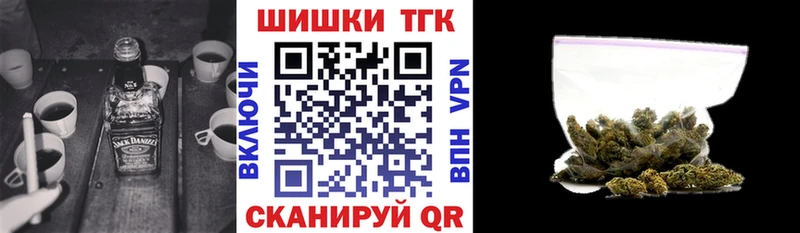 Каннабис конопля  Тбилисская 